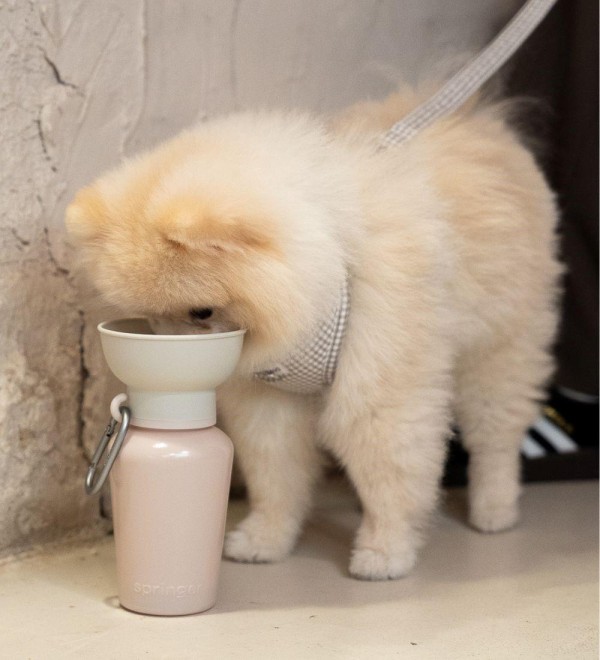 Botella Bebedero Flip Beige
