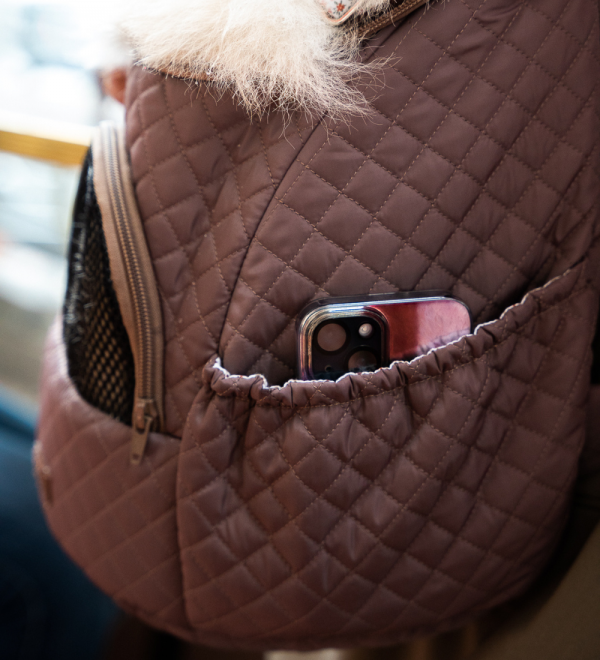 Hailey dog backpack