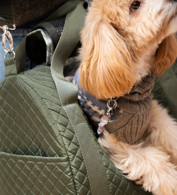 Dog bag Eleanor