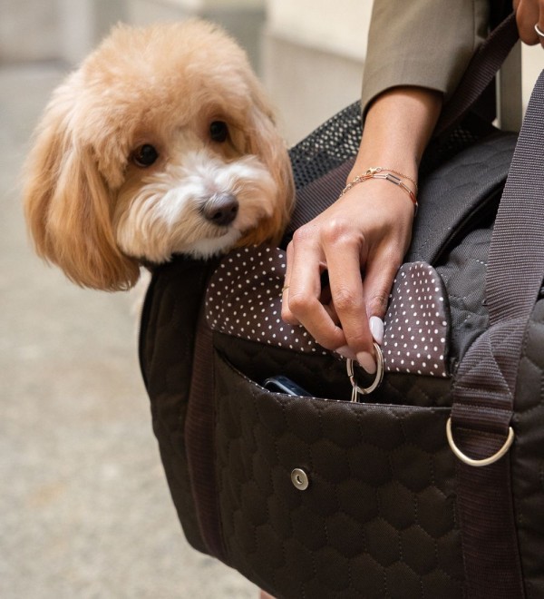 Dog bag Hazel Brown