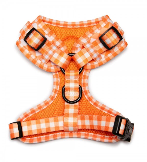 Vichy Orange Harness