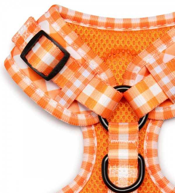 Vichy Orange Harness