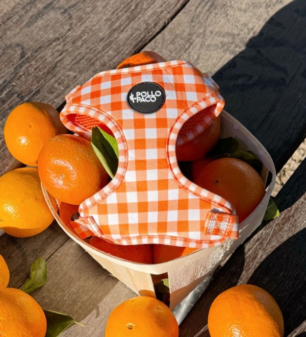 Vichy Orange Harness