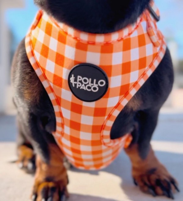 Vichy Orange Harness