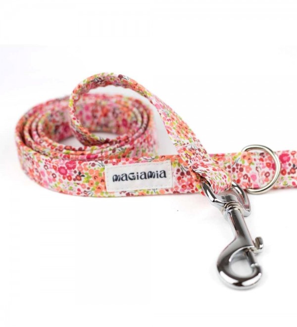 Collar for dog Matilda