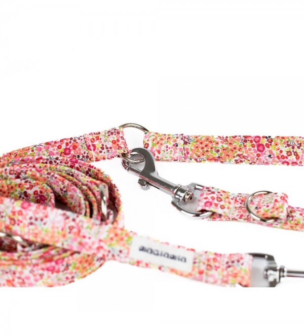 Correa Multiposición Matilda