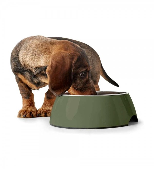 Green Khaki Melamine Feeder