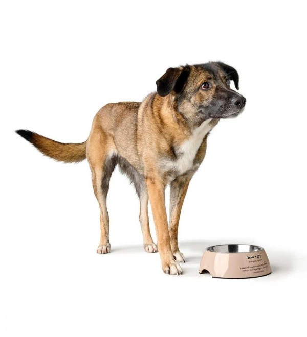 Melamine Feeder Luton