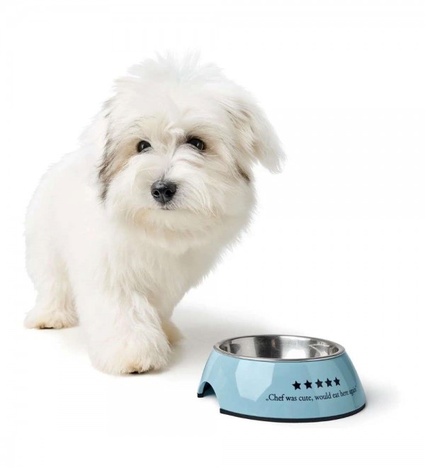 Melamine Feeder Myfair