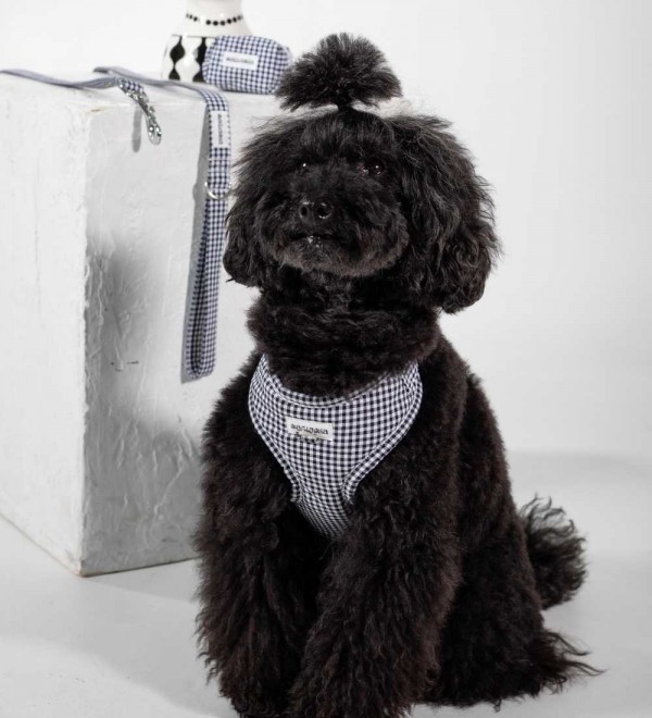 Arnés para Perro Ajustable Vichy Negro