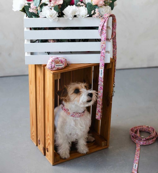 Collar para Perro Matilda