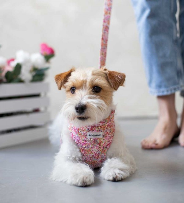 Adjustable Dog Harness Matilda