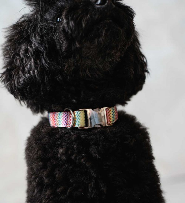 Collar for Dogs - Llavaneres Texture