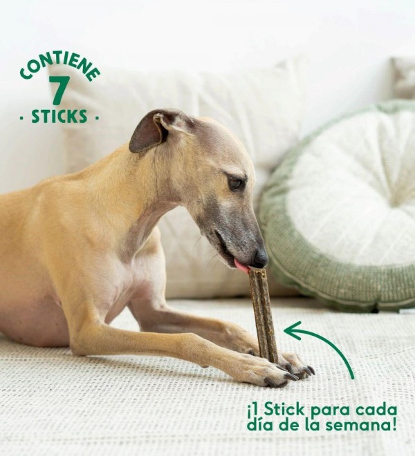 Rabbit Dental Sticks with Chamomile and Sage - for Sensitive Stomachs