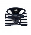 Blue Harness Loan