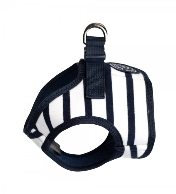 Blue Harness Loan
