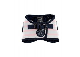 It seems like "Arnés Loan Rosa" is a person's name in Spanish.