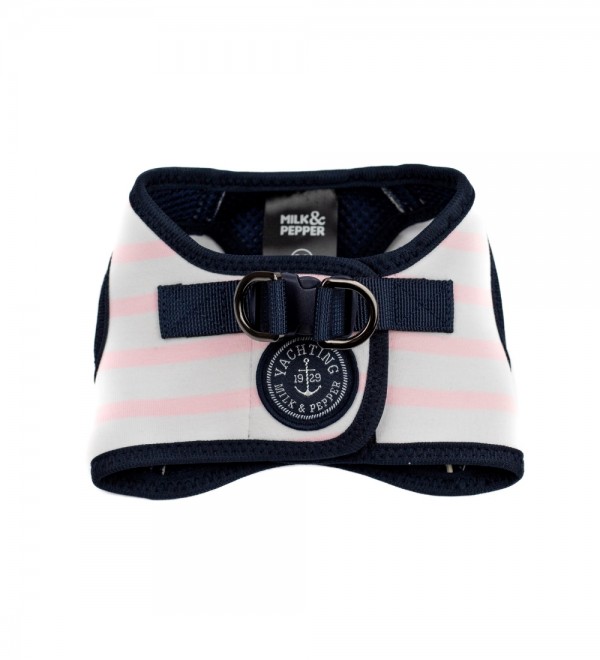 It seems like "Arnés Loan Rosa" is a person's name in Spanish.