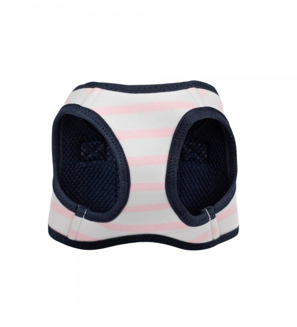 It seems like "Arnés Loan Rosa" is a person's name in Spanish.