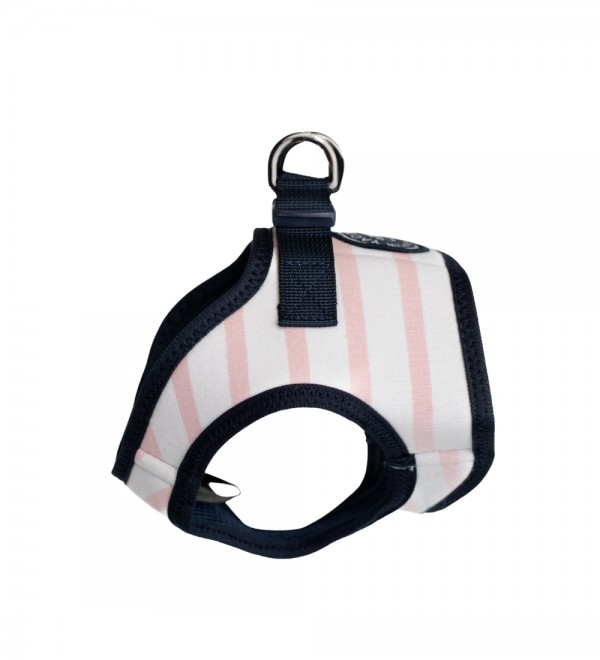 It seems like "Arnés Loan Rosa" is a person's name in Spanish.