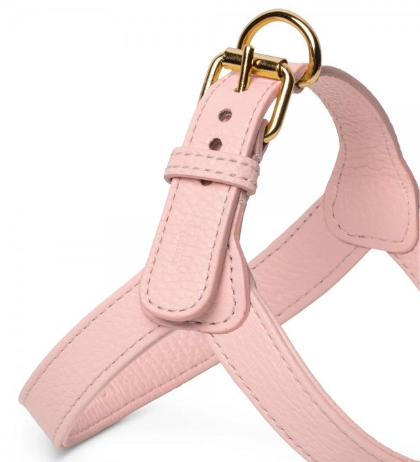 Arnés para Perro Peonia