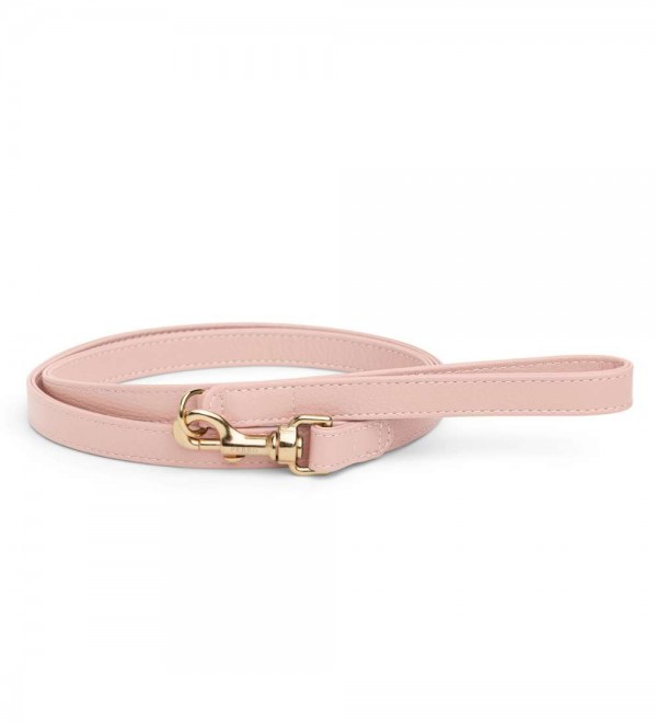 Leash for Dog Peony