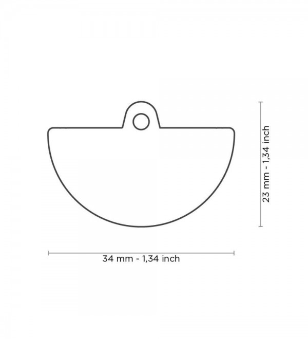 Food Watermelon ID Tag