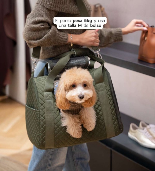 Matilda's dog bag