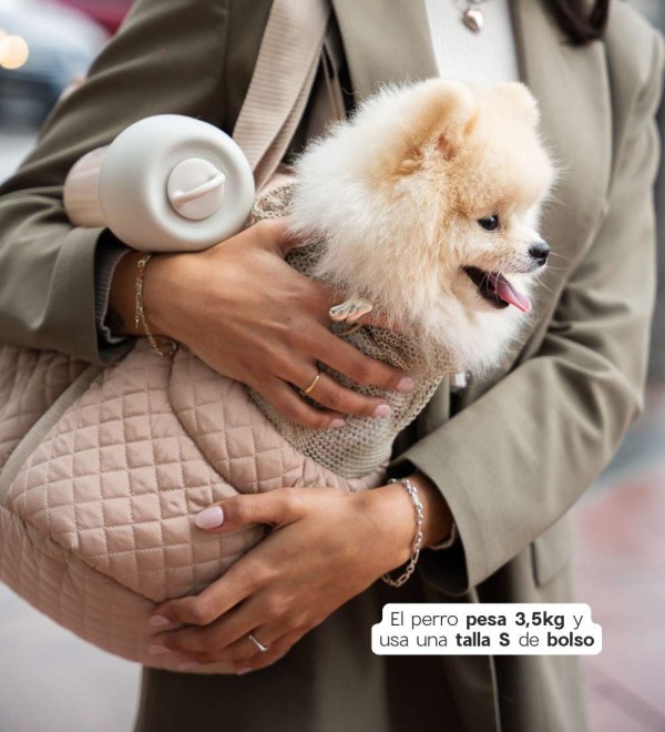 Bag for small dog Emily