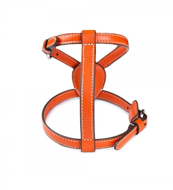 Nuvola Harness Orange