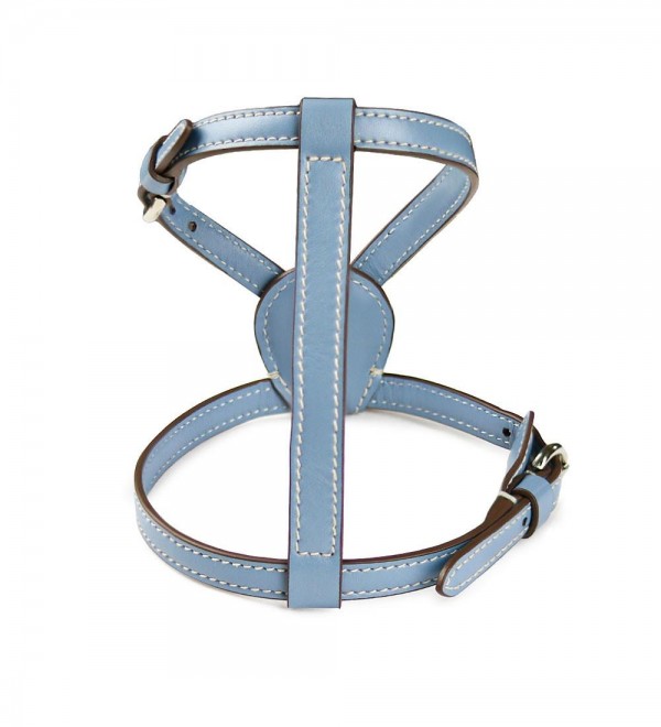 Leather Dog Harness - Blue Cloud