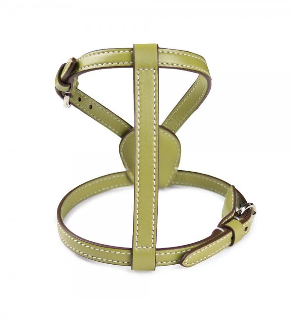 Leather Dog Harness - Nuvola Oliva