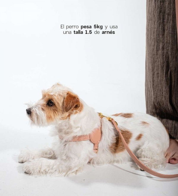Harness Movie Pink