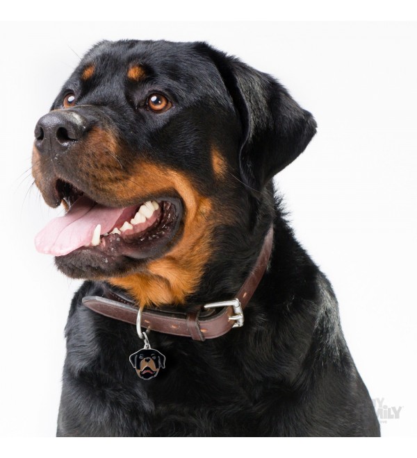 Chapa Perro Perro Friends Rottweiler