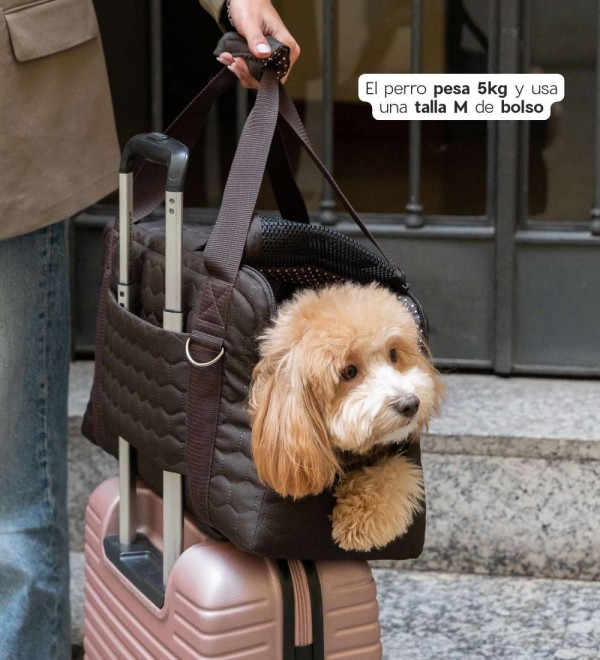 Dog bag Hazel Brown