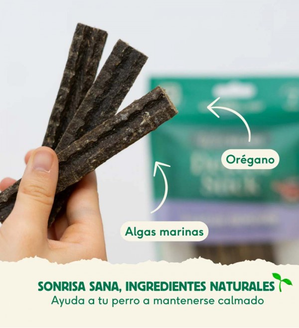 Snacks para Perros - Stick Dental Natural