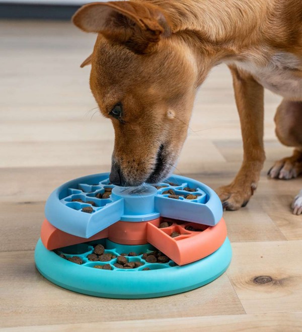 Interactive Toy Puppy Lickin’ Layers