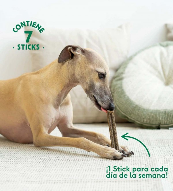 Snacks para Perros - Stick Dental Natural
