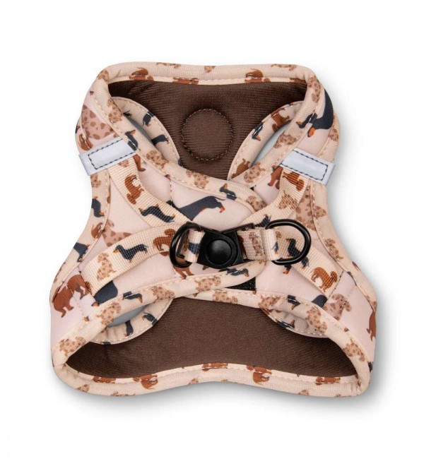 Body Teckels harness