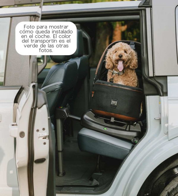 Transportín para el Coche con Isofix Maeve
