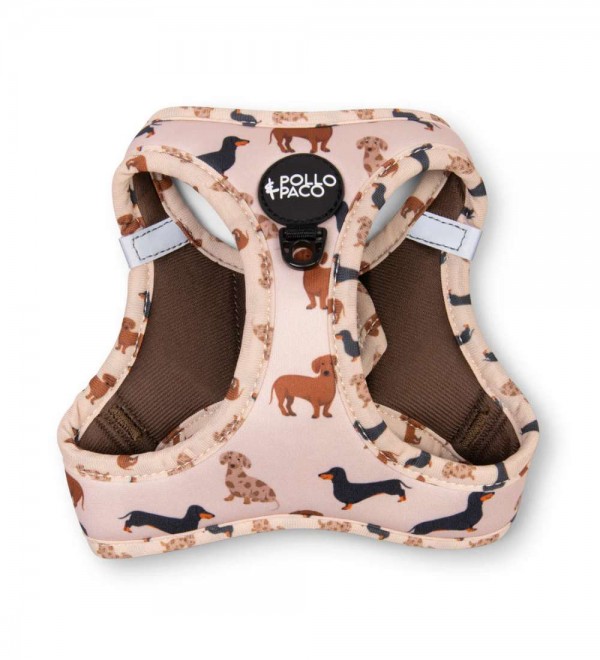 Body Teckels harness