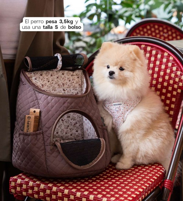 Mochila para perros Alice