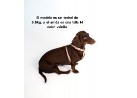 Arnés Cuero para Perro - Nuvola Vainilla