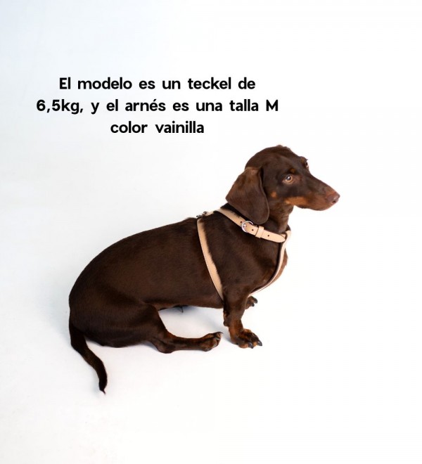 Arnés Cuero para Perro - Nuvola Vainilla
