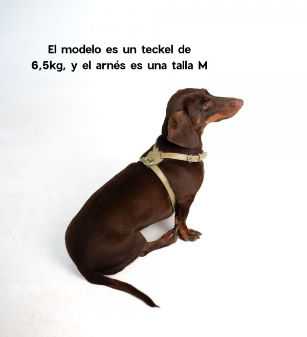 Arnés Cuero para Perro - Nuvola Oliva