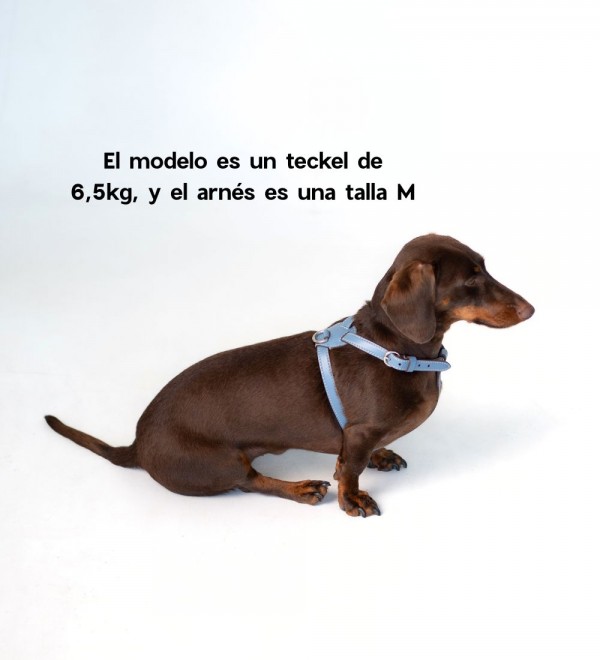 Arnés Nuvola Azul Bebé