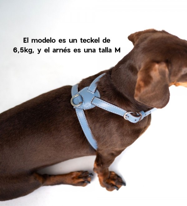 Arnés Nuvola Azul Bebé