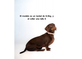 Collar Essential Vanilla