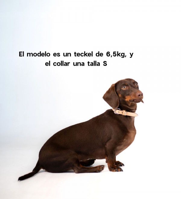 Collar Essential Vanilla