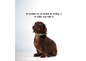 Collar Cuero Perro - Essential Oliva